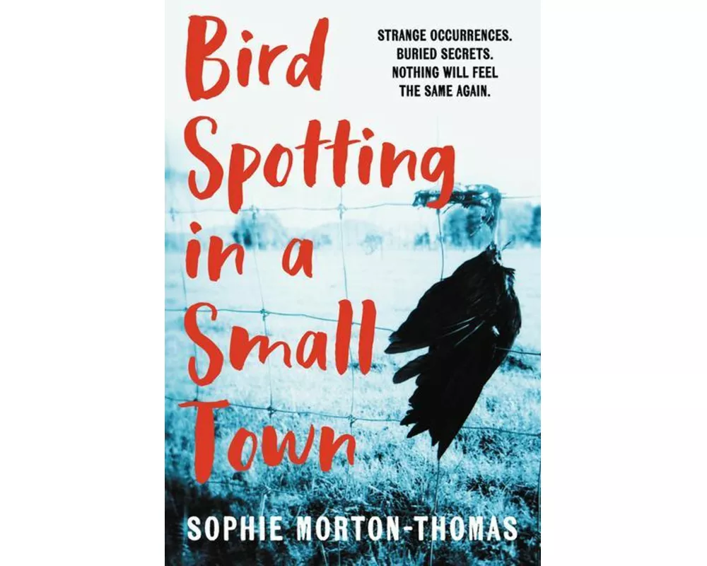 Bird Spotting in a Small Town