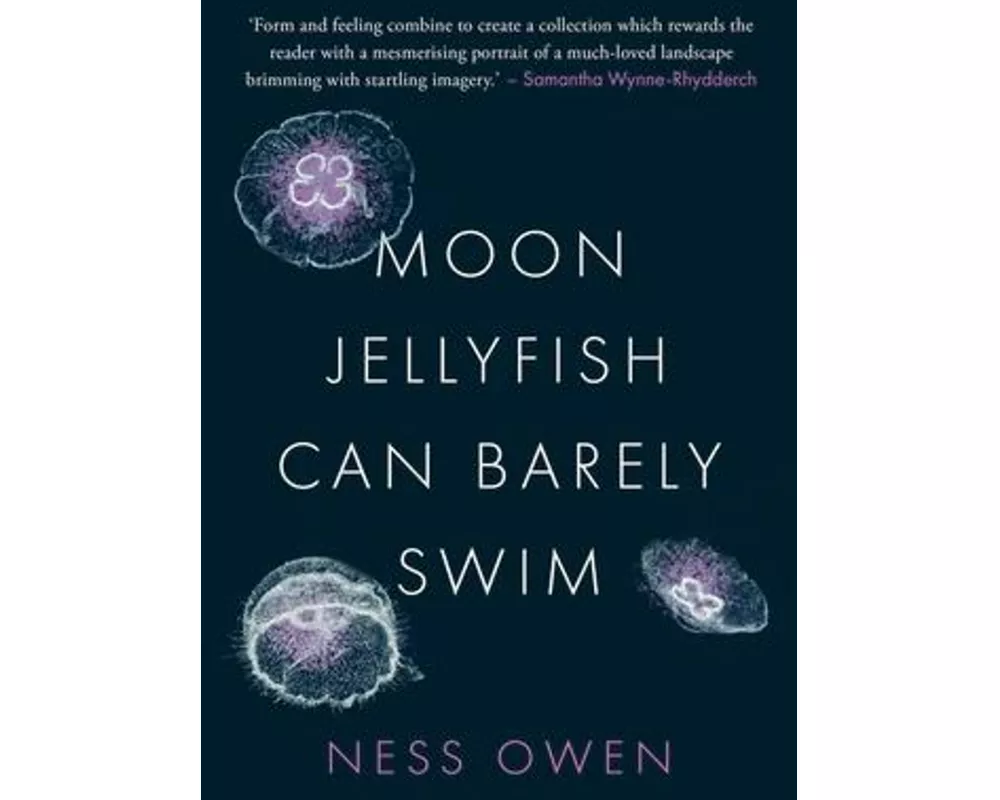 Moon Jellyfish Can Barely Swim