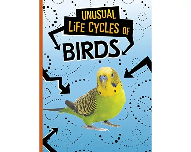 Unusual Life Cycles of Birds
