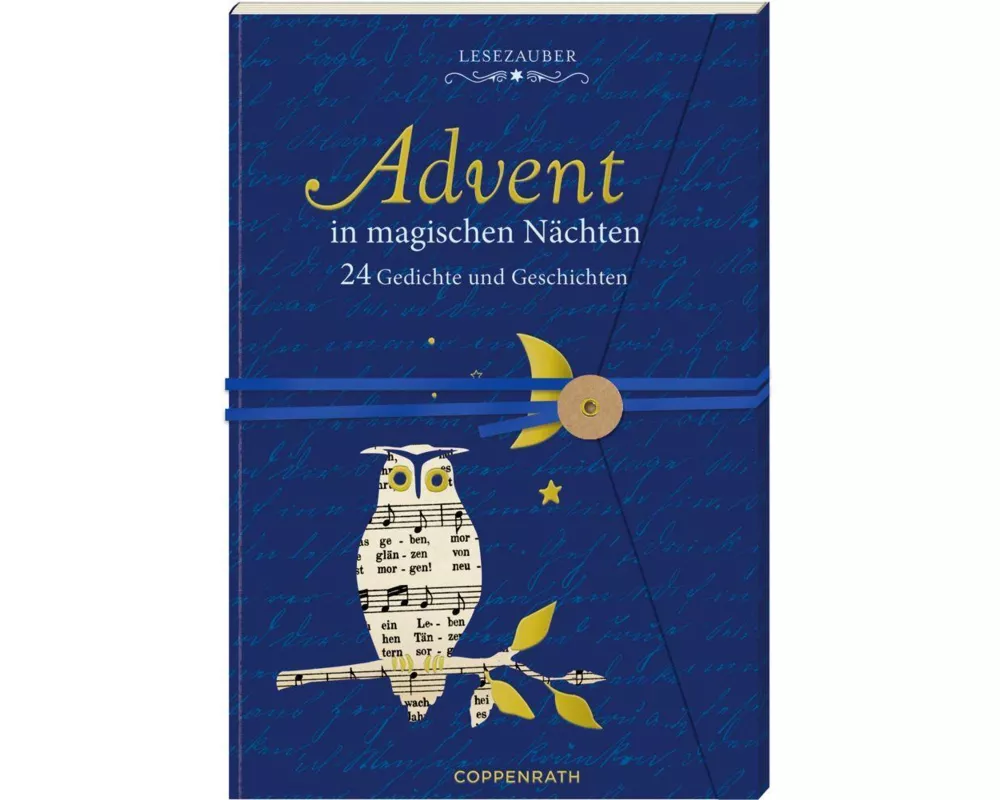 Brief-Adventskalenderbuch - Advent in magischen Nächten