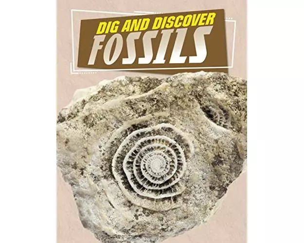 Dig and Discover Fossils