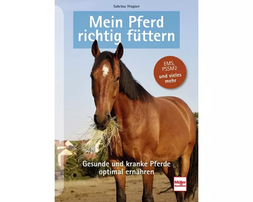 Mein Pferd richtig füttern