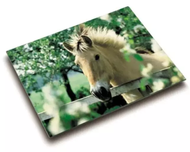 Läufer Schreibunterlage Pferd am Weidezaun 40 x 53 cm