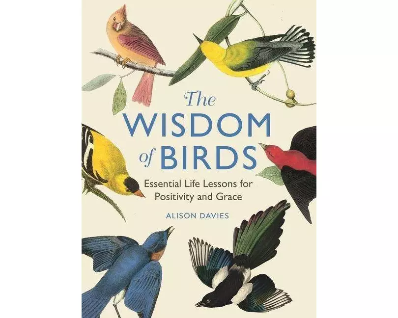 The Wisdom of Birds