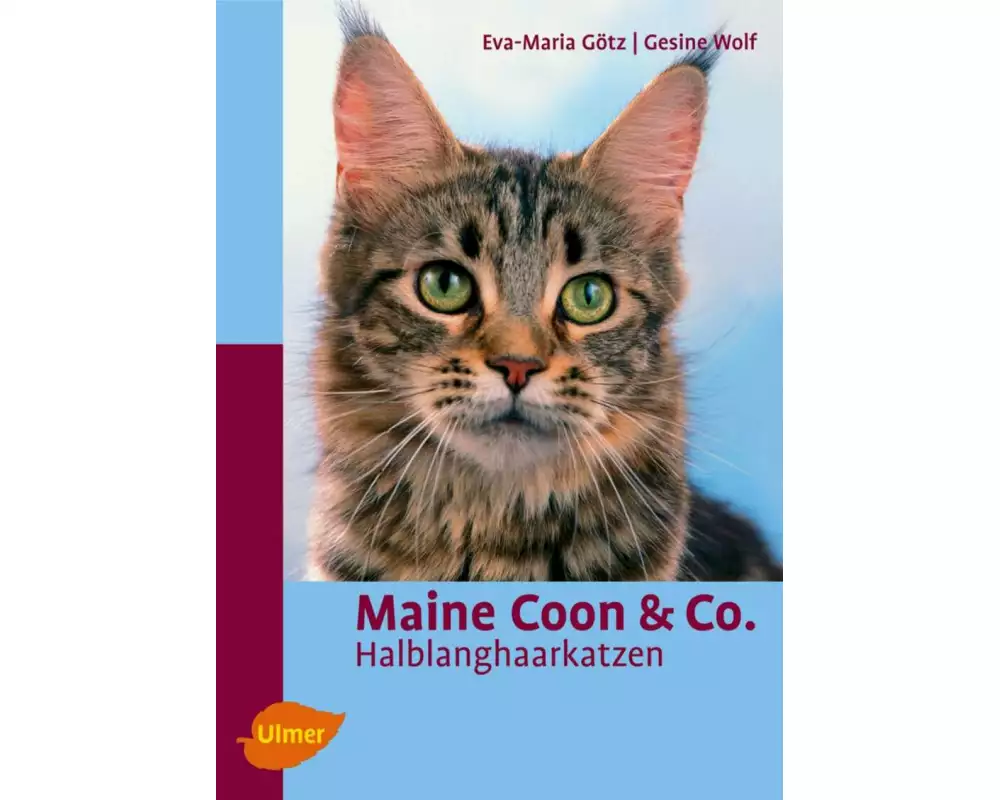 Maine Coon & Co