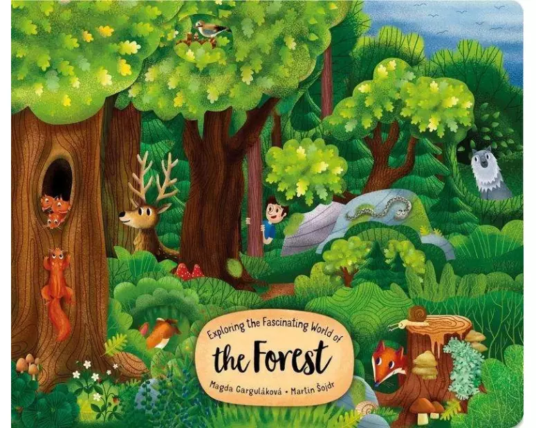 Exploring the Fascinating World of the Forest