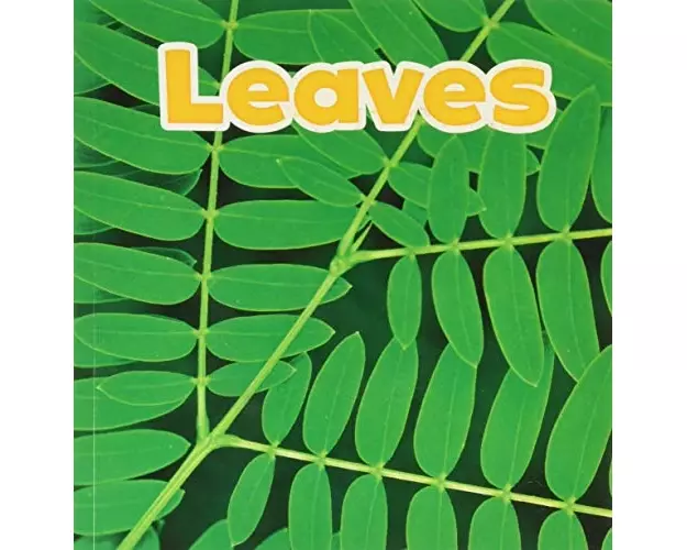 Leaves