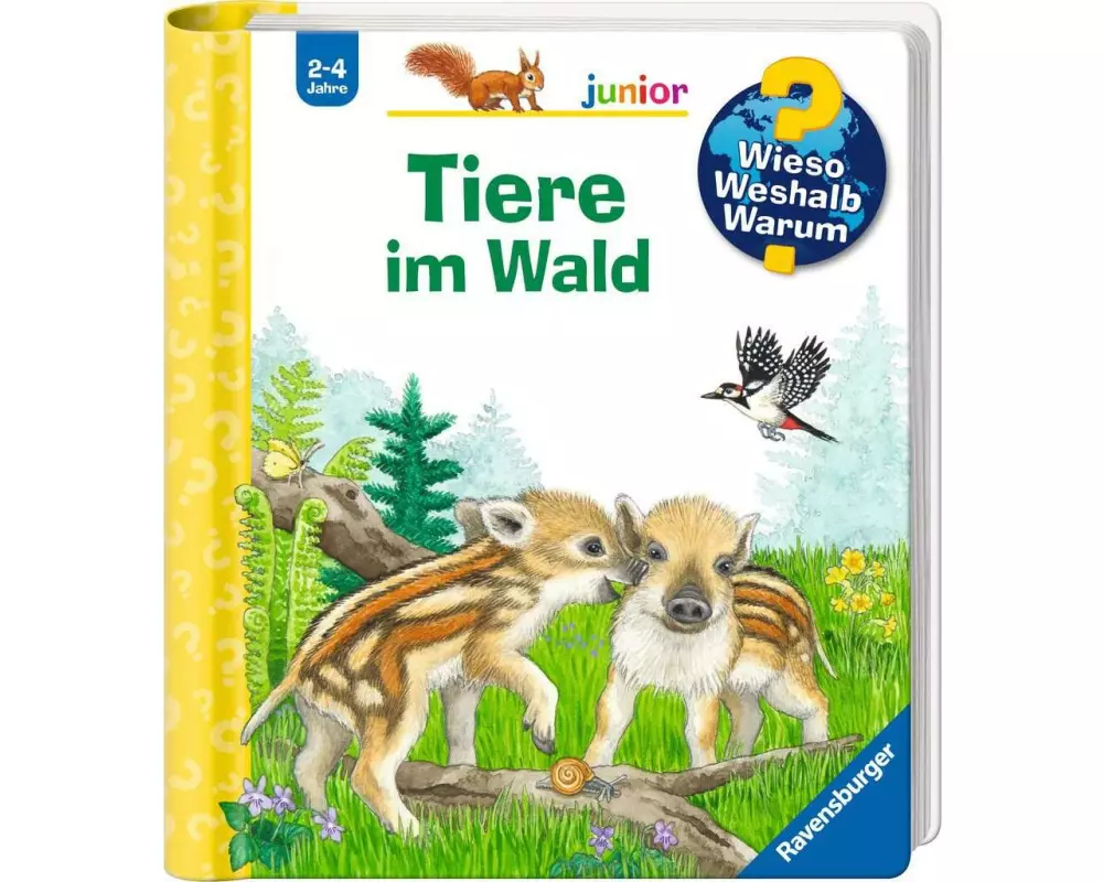 Ravensburger Kinder-Sachbuch WWW junior: Tiere im Wald