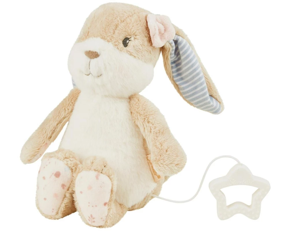 Sterntaler Spieluhr M Hanni