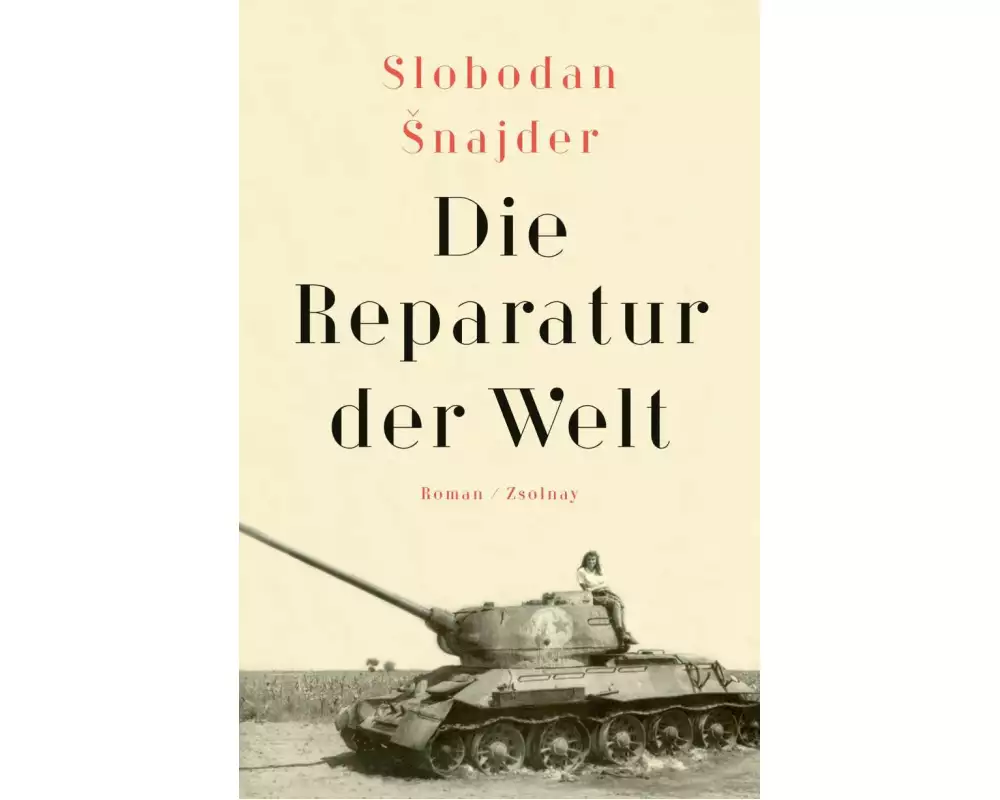 Die Reparatur der Welt