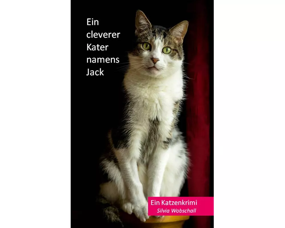 Ein cleverer Kater namens Jack