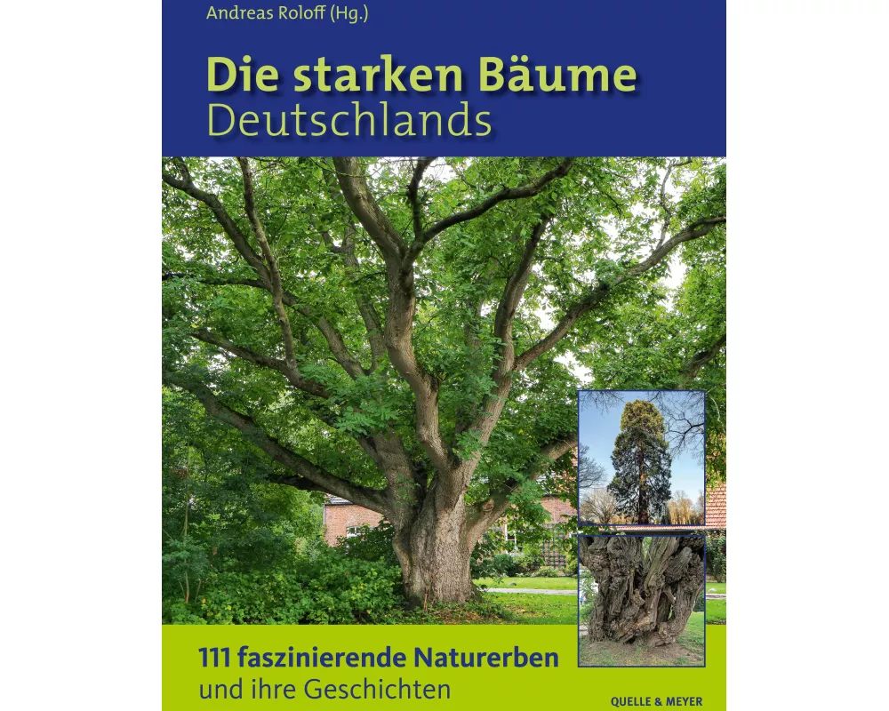 Die starken Bäume Deutschlands