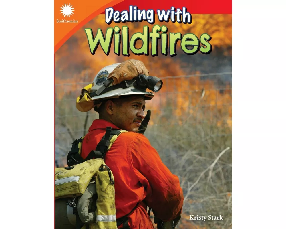 Dealing with Wildfires