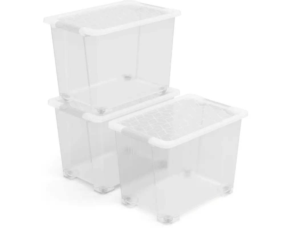Rotho Aufbewahrungsbox EVO EASY Transparent, 3 tlg.