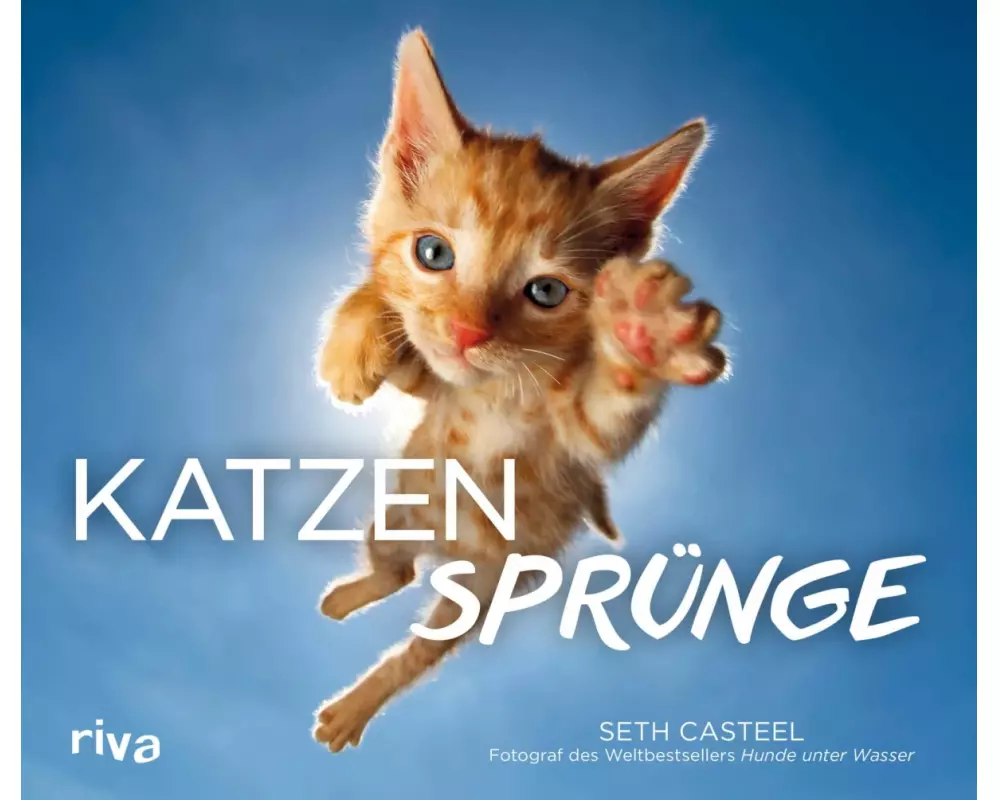 Katzensprünge