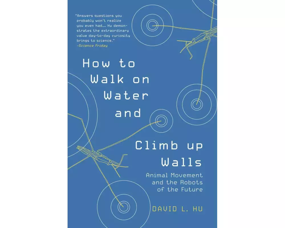 How to Walk on Water and Climb up Walls