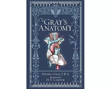 Gray's Anatomy (Barnes & Noble Collectible Classics: Omnibus Edition)
