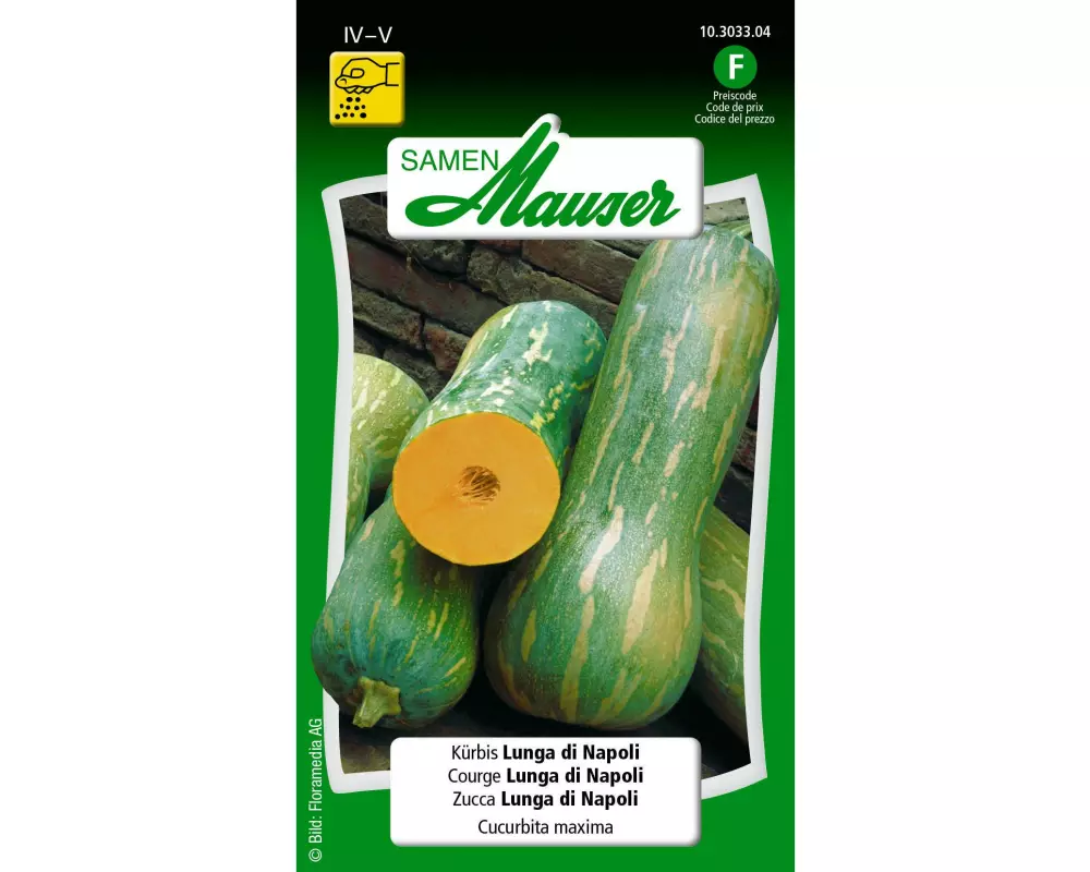 Samen Mauser Samen Kürbis Lunga di Napoli