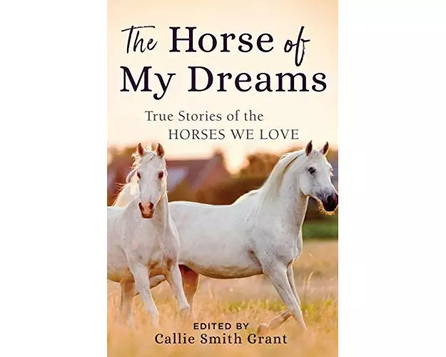 The Horse of My Dreams