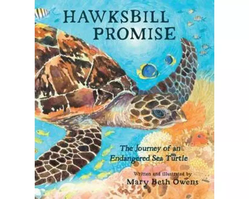Hawksbill Promise