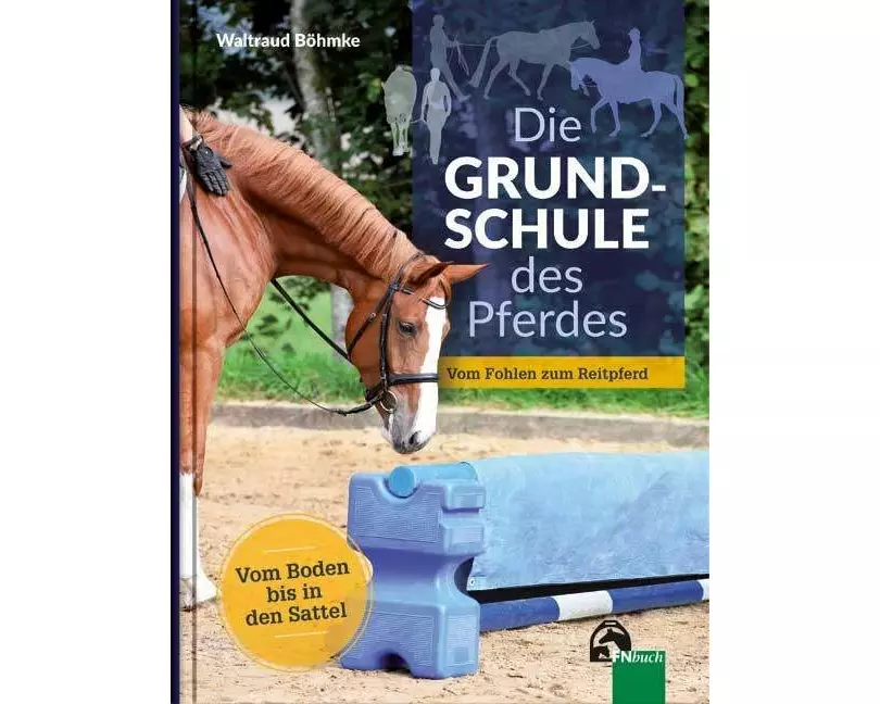 Die Grundschule des Pferdes