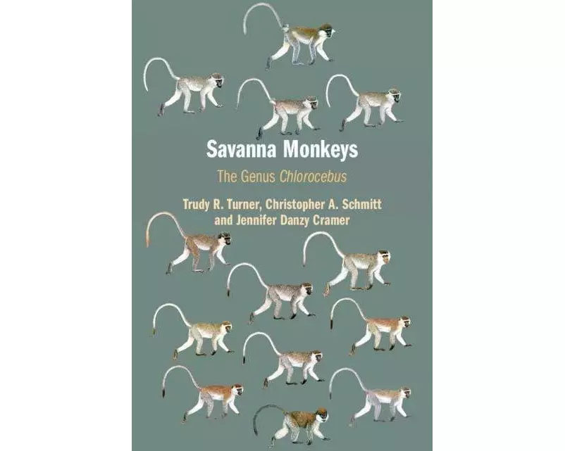 Savanna Monkeys