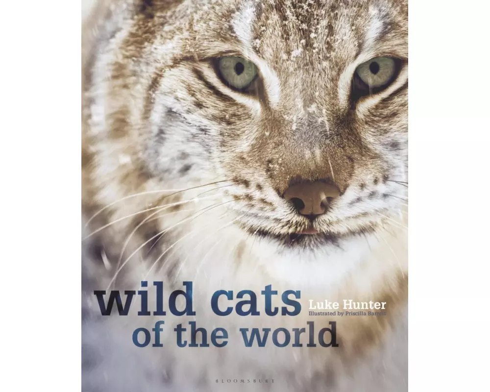 Wild Cats of the World
