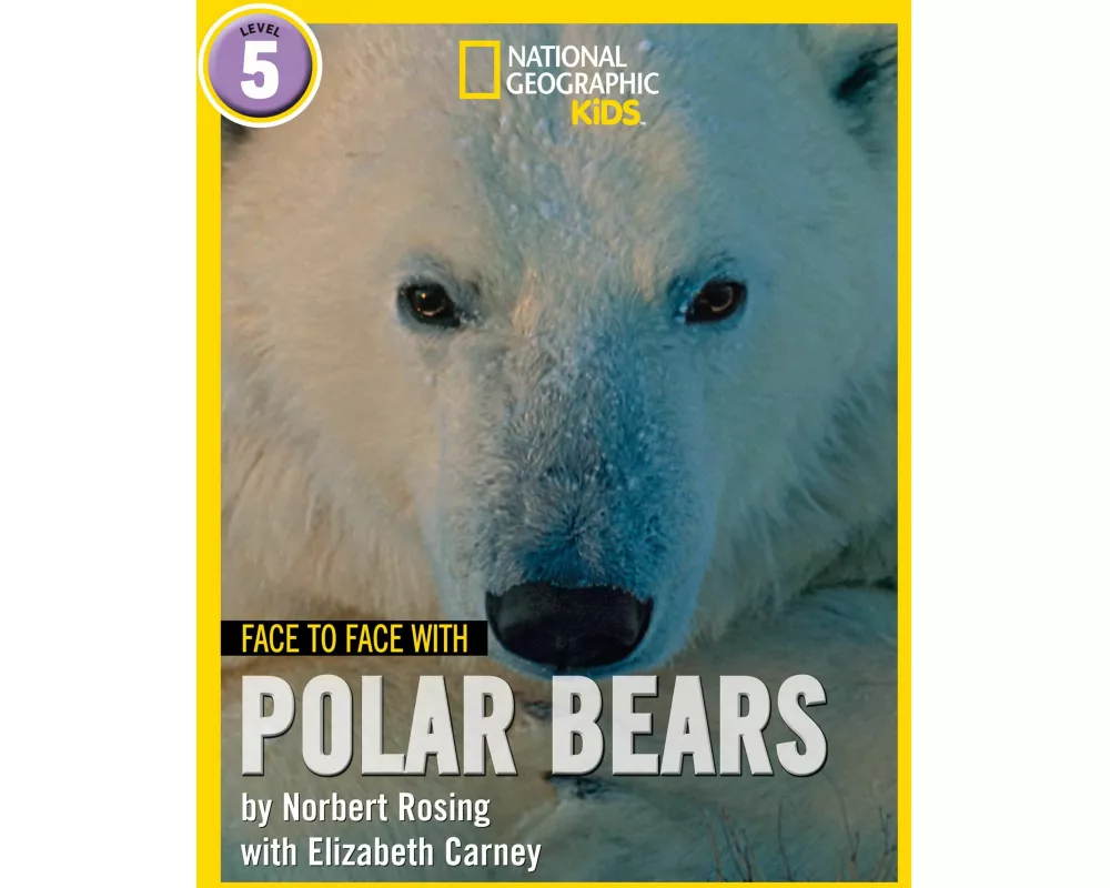 Face to Face with Polar Bears