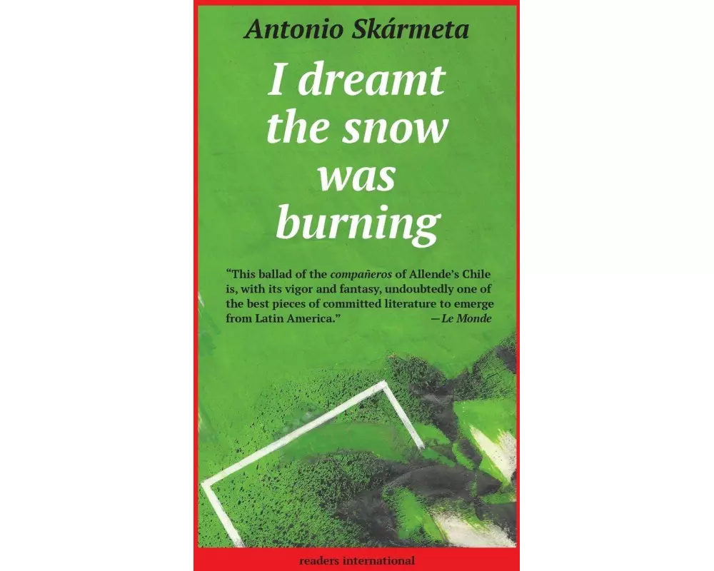 I Dreamt the Snow was Burning