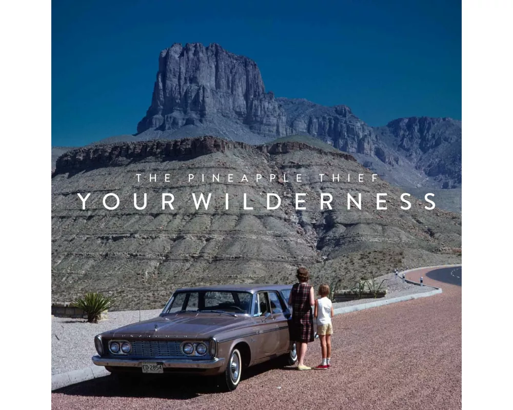 Your Wilderness