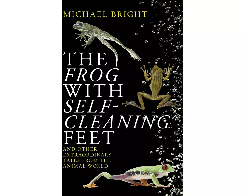 The Frog with Self-Cleaning Feet