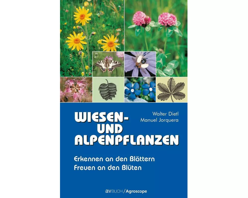 Wiesen- und Alpenpflanzen