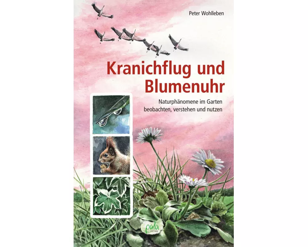 Kranichflug und Blumenuhr