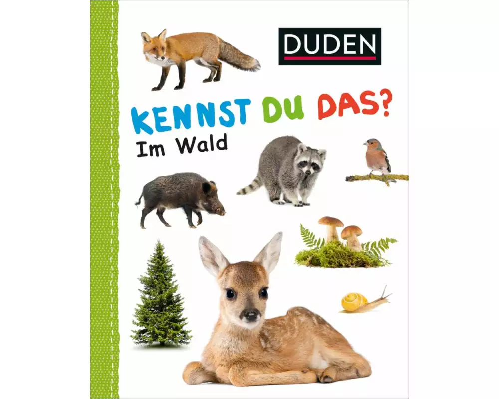 Duden 12+: Kennst du das? Im Wald