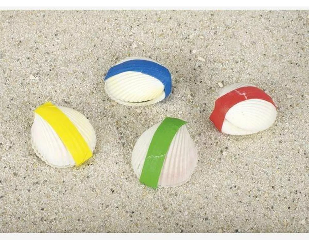 Wundermuschel, Peggy Diggledey