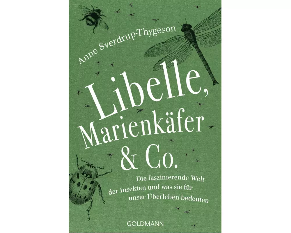Libelle, Marienkäfer & Co