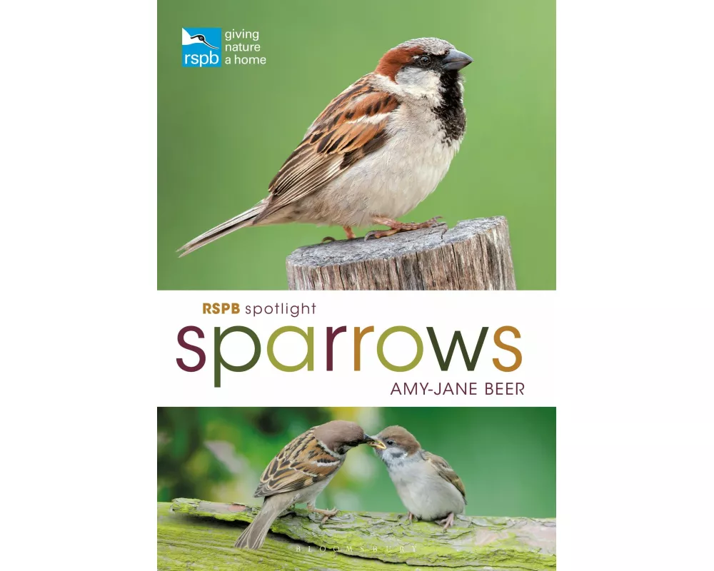 RSPB Spotlight Sparrows