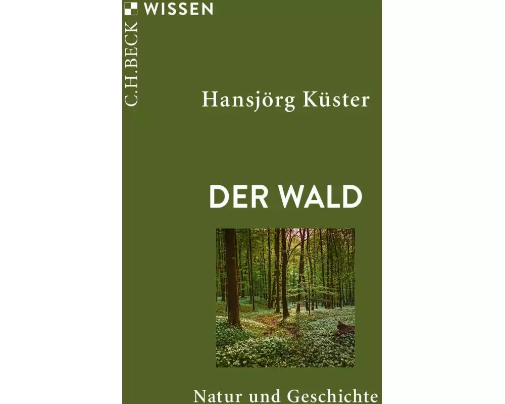 Der Wald