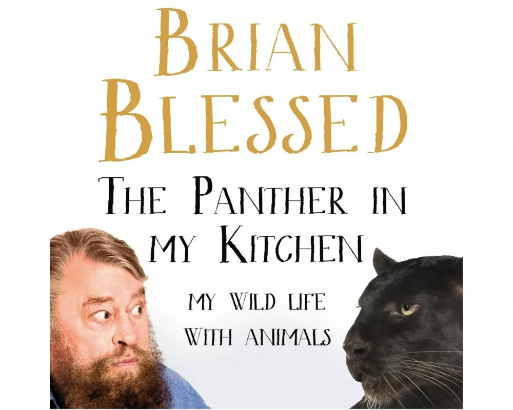 The Panther In My Kitchen