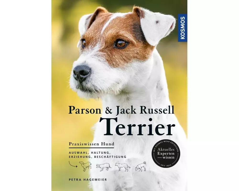 Parson und Jack Russell Terrier