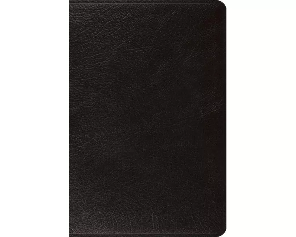 ESV Large Print Bible