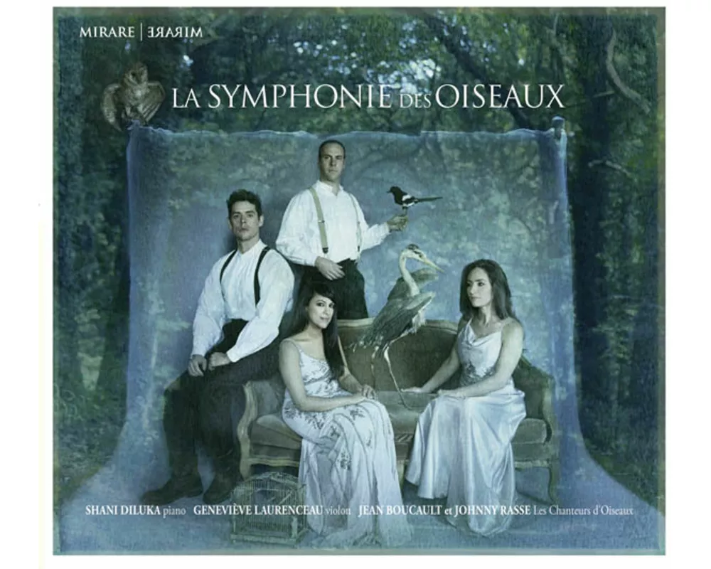 Birds Symphony
