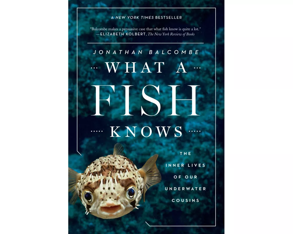 What a Fish Knows