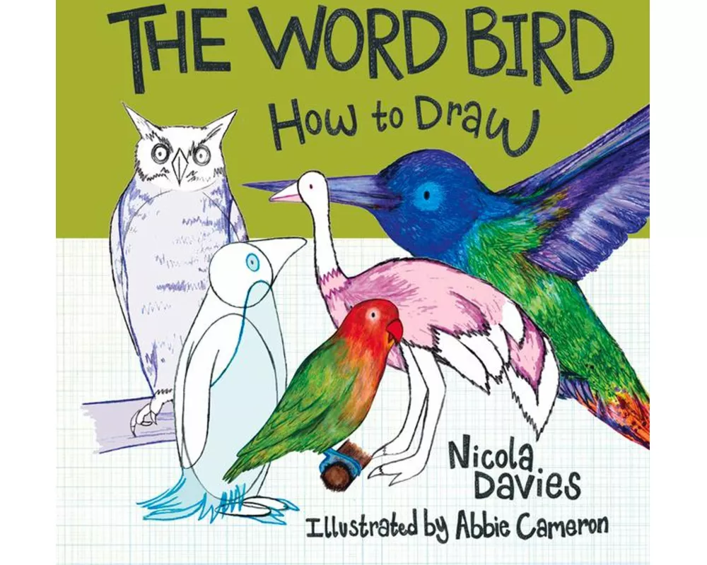 How to Draw: The Word Bird
