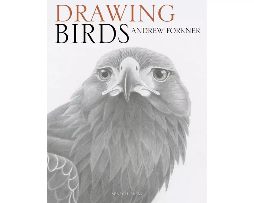 Drawing Birds