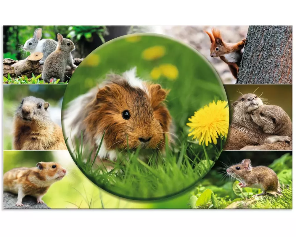 HERMA Schreibunterlage Nagetiere 55 x 35 cm