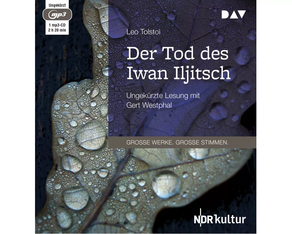 Der Tod des Iwan Iljitsch