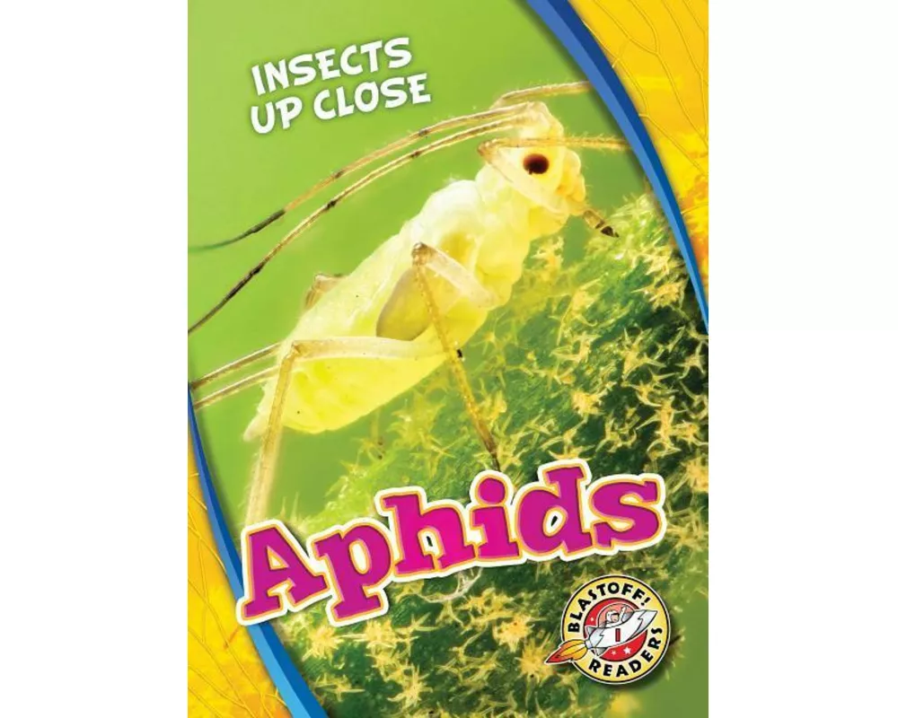 Aphids