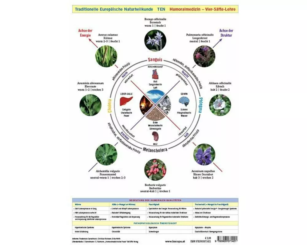 Wandtafel Traditionelle Europäische Naturheilkunde TEN A4