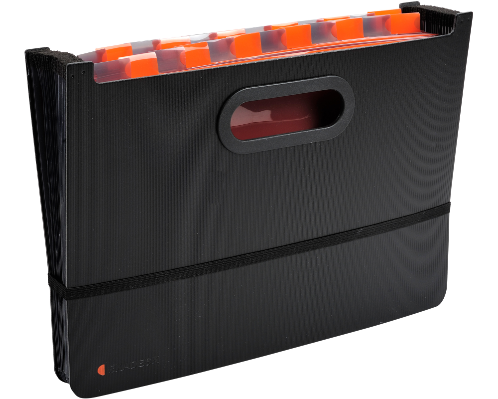 EXACOMPTA Fächermappe Exadesk Exactive 58934E 24 Fächer A4